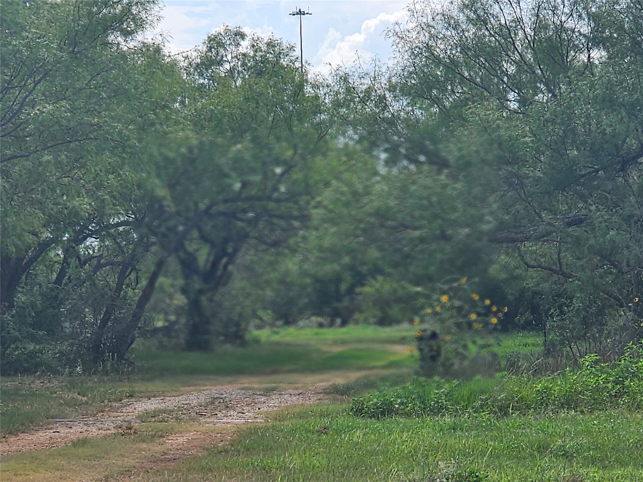 6685 Interstate 20 Ranger TX 76470