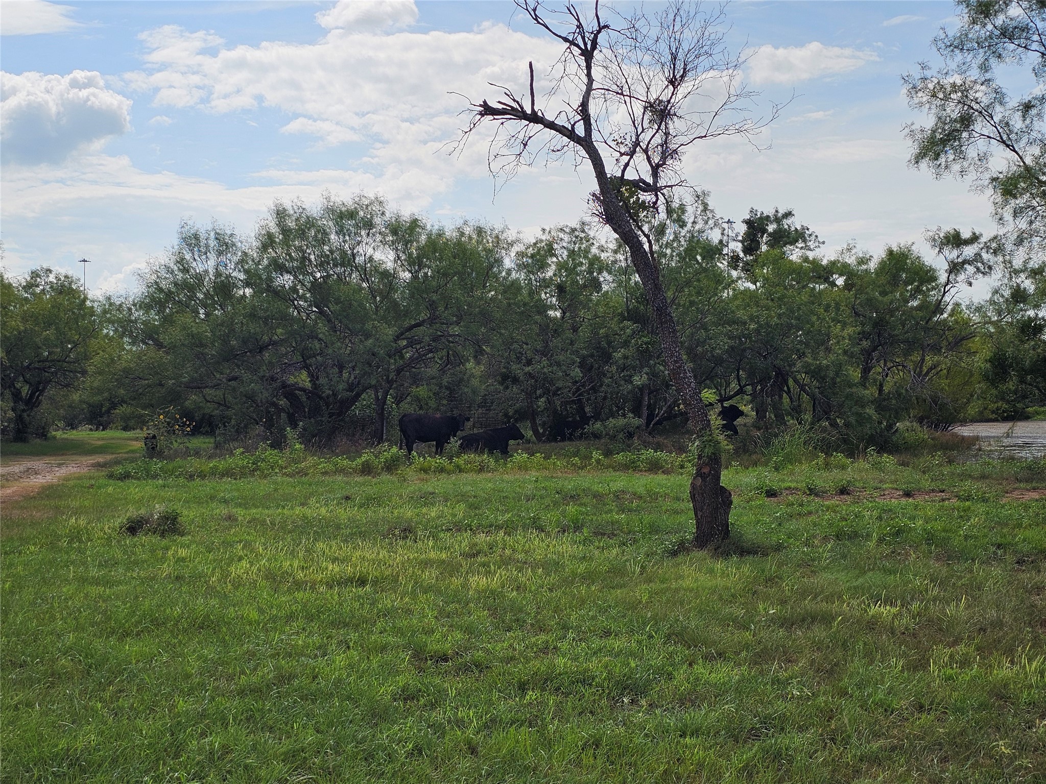 6685 Interstate 20 Ranger TX 76470