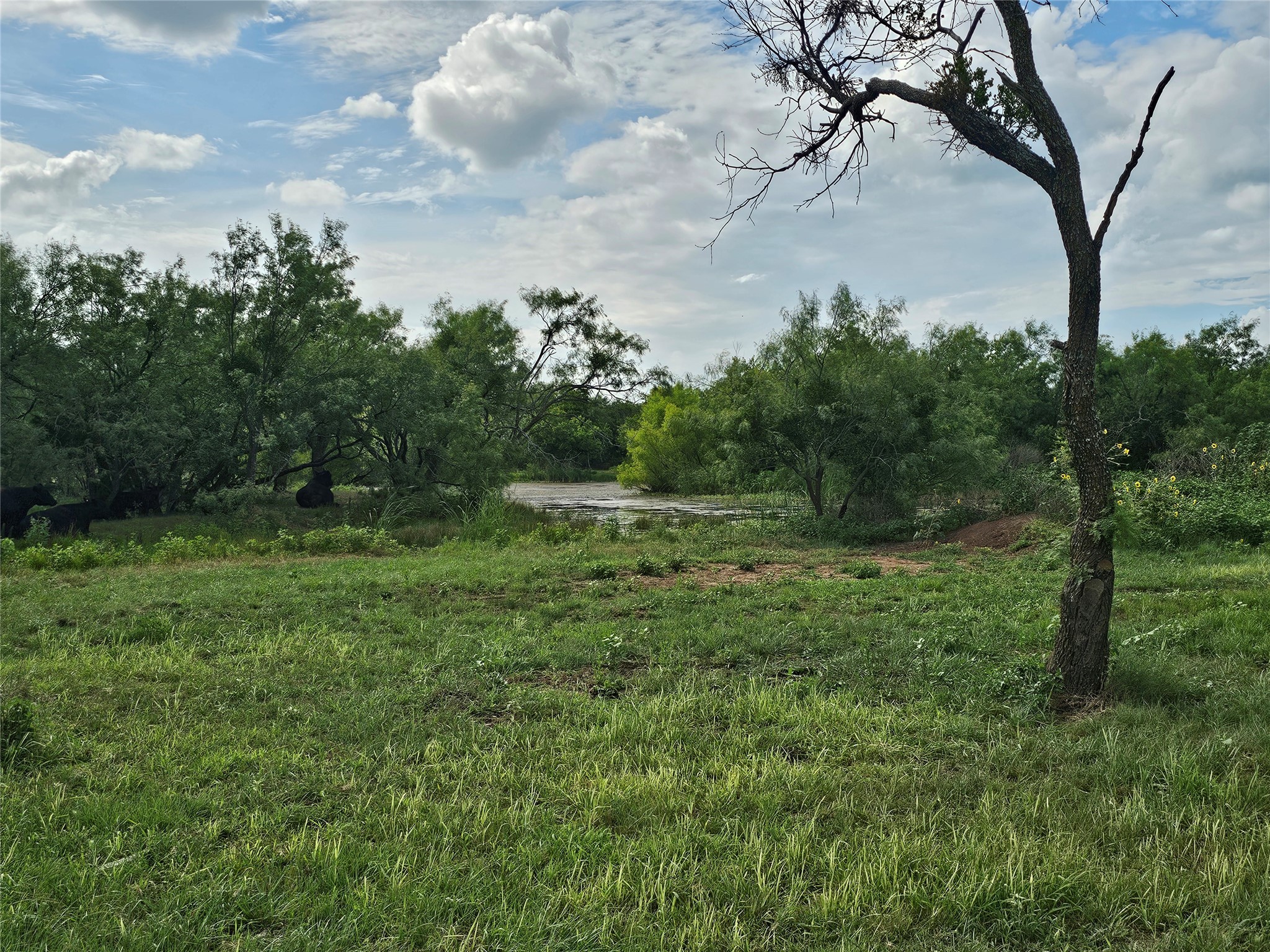 6685 Interstate 20 Ranger TX 76470