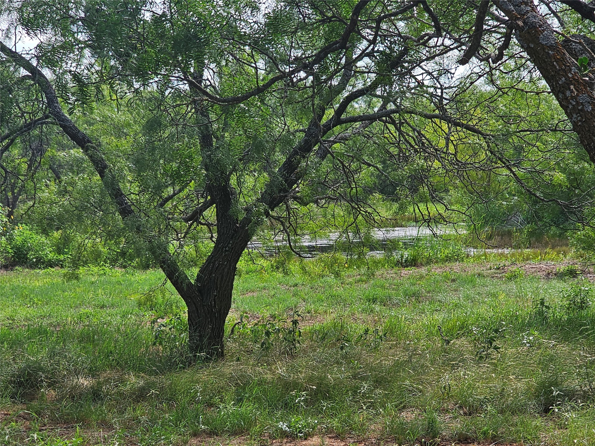 6685 Interstate 20 Ranger TX 76470