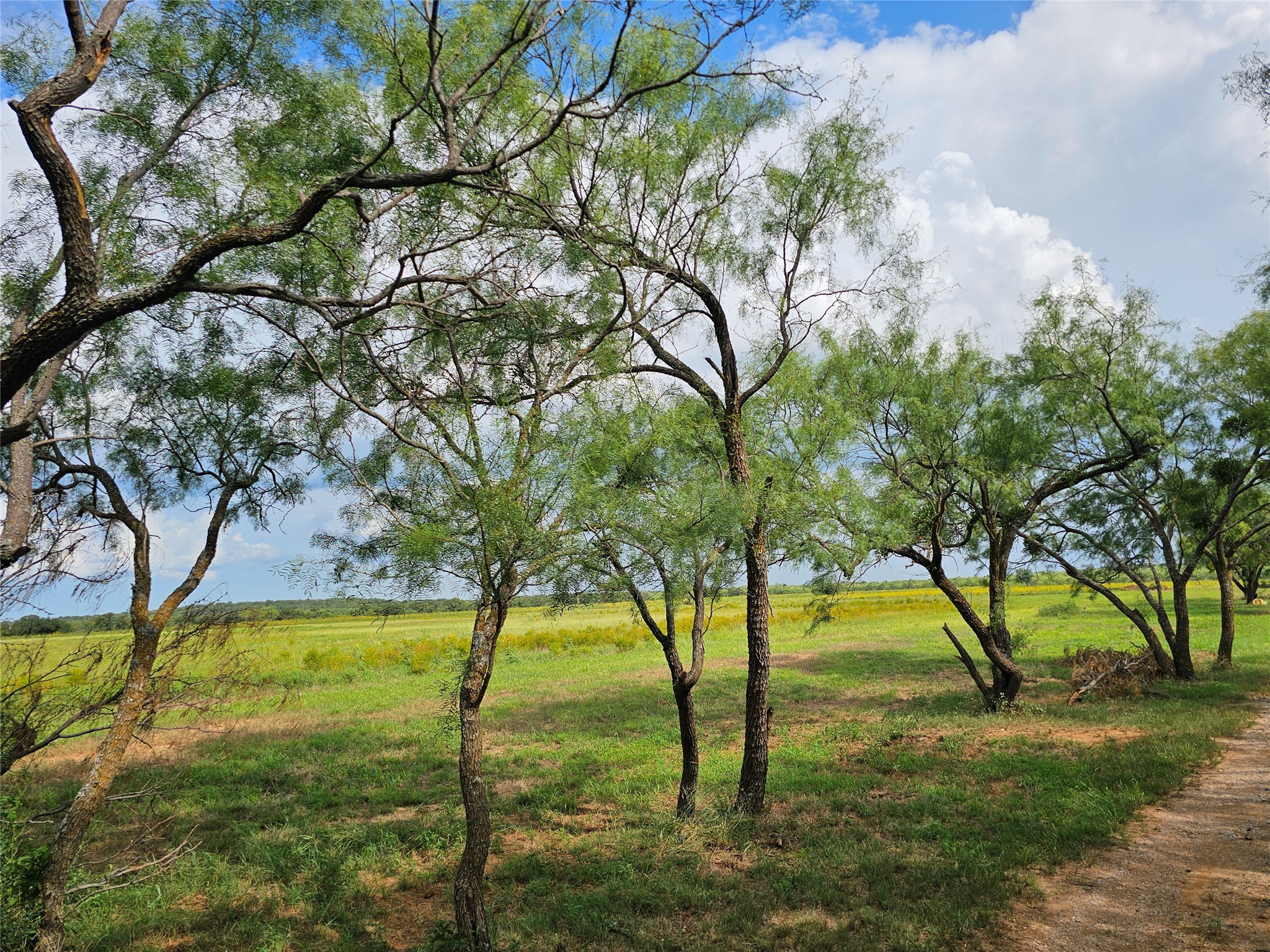 6685 Interstate 20 Ranger TX 76470