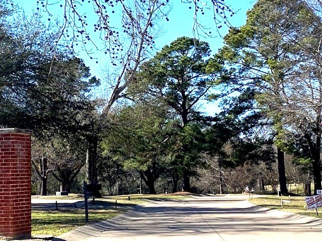 Lot 8 Belmont Drive Athens TX 75751
