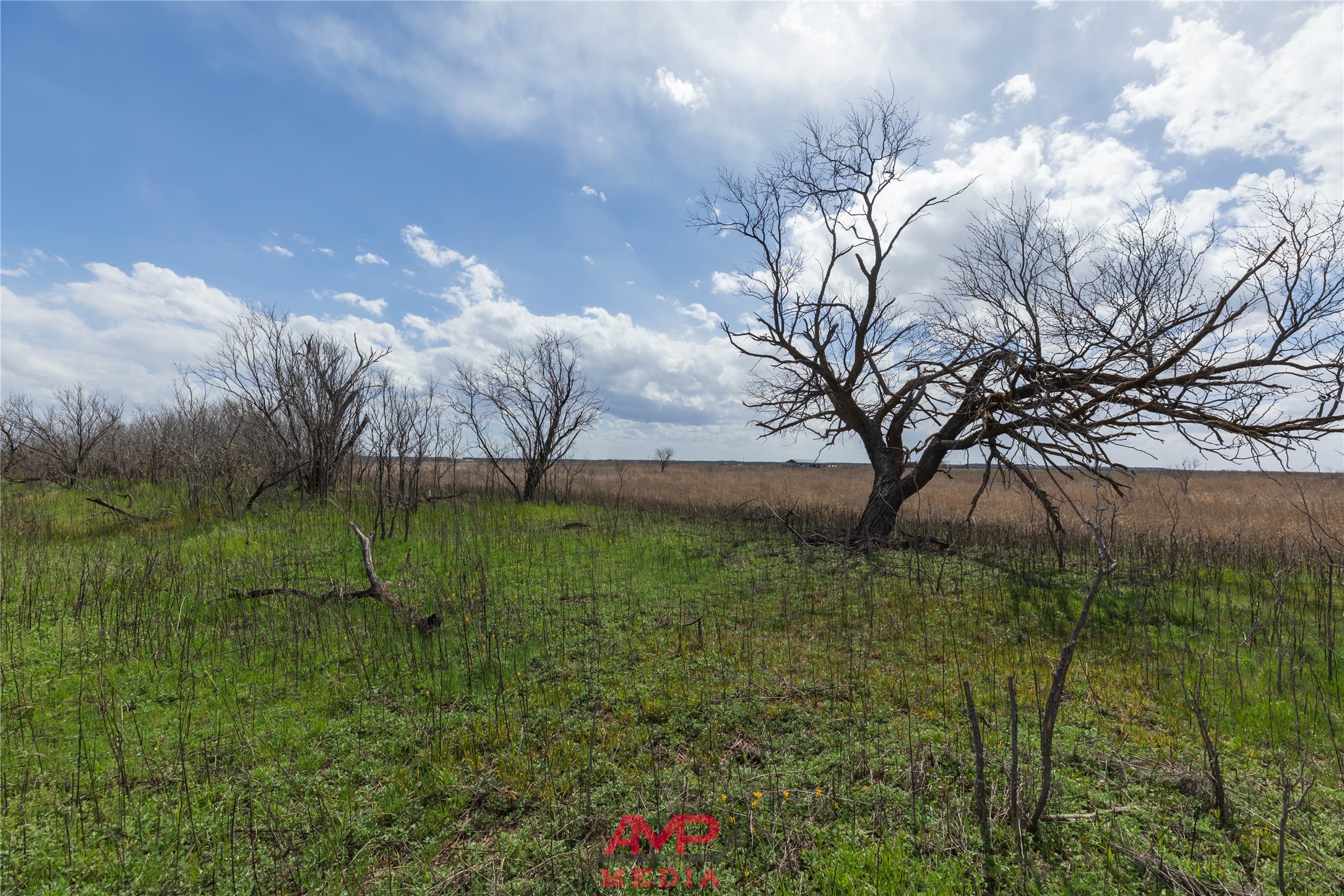 Tract 3 Cr 463 Anson TX 79501