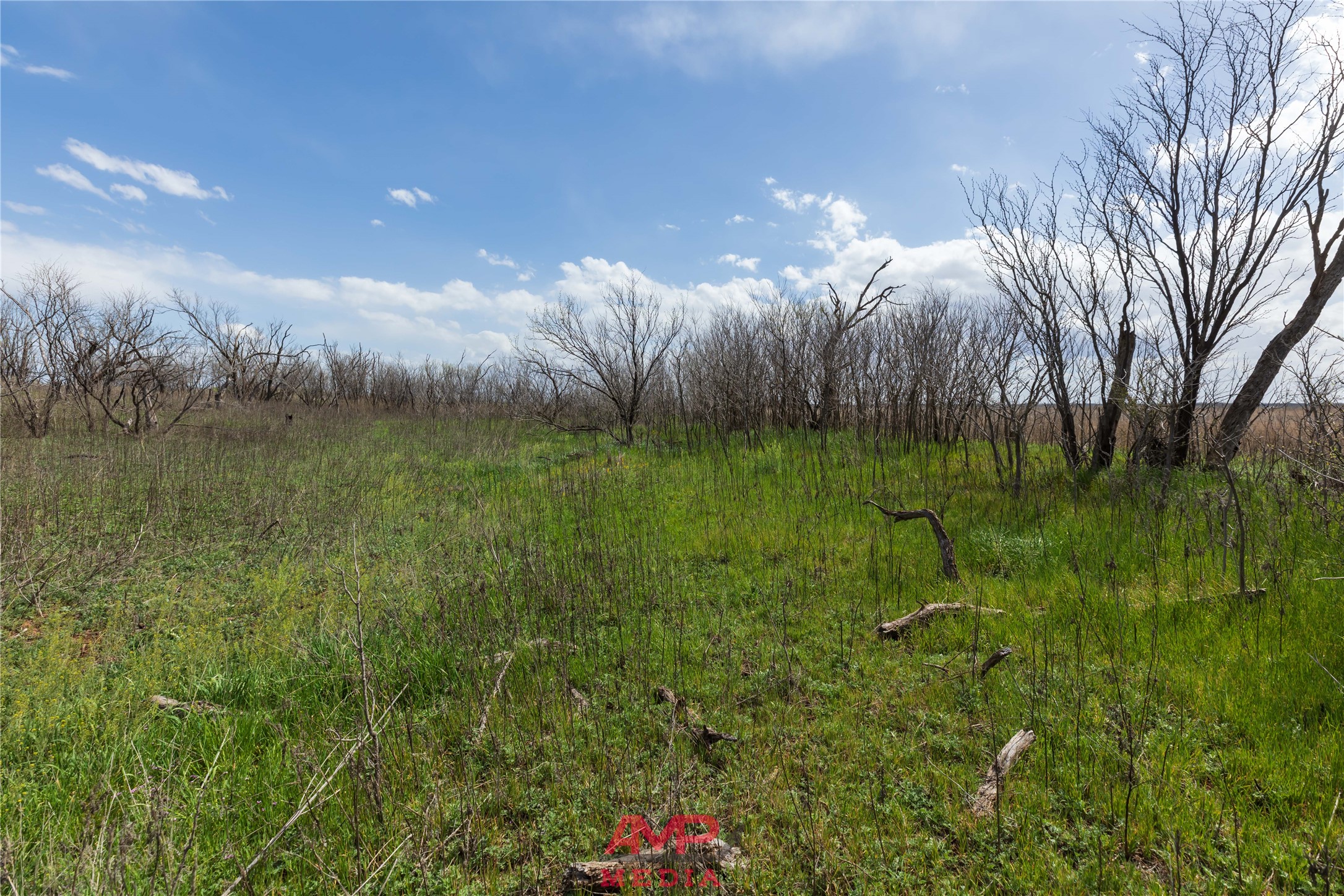 Tract 3 Cr 463 Anson TX 79501