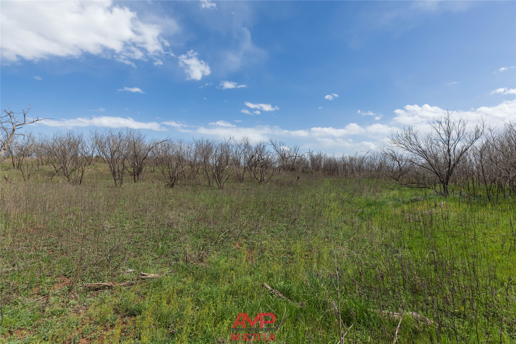 Tract 3 Cr 463 Anson TX 79501