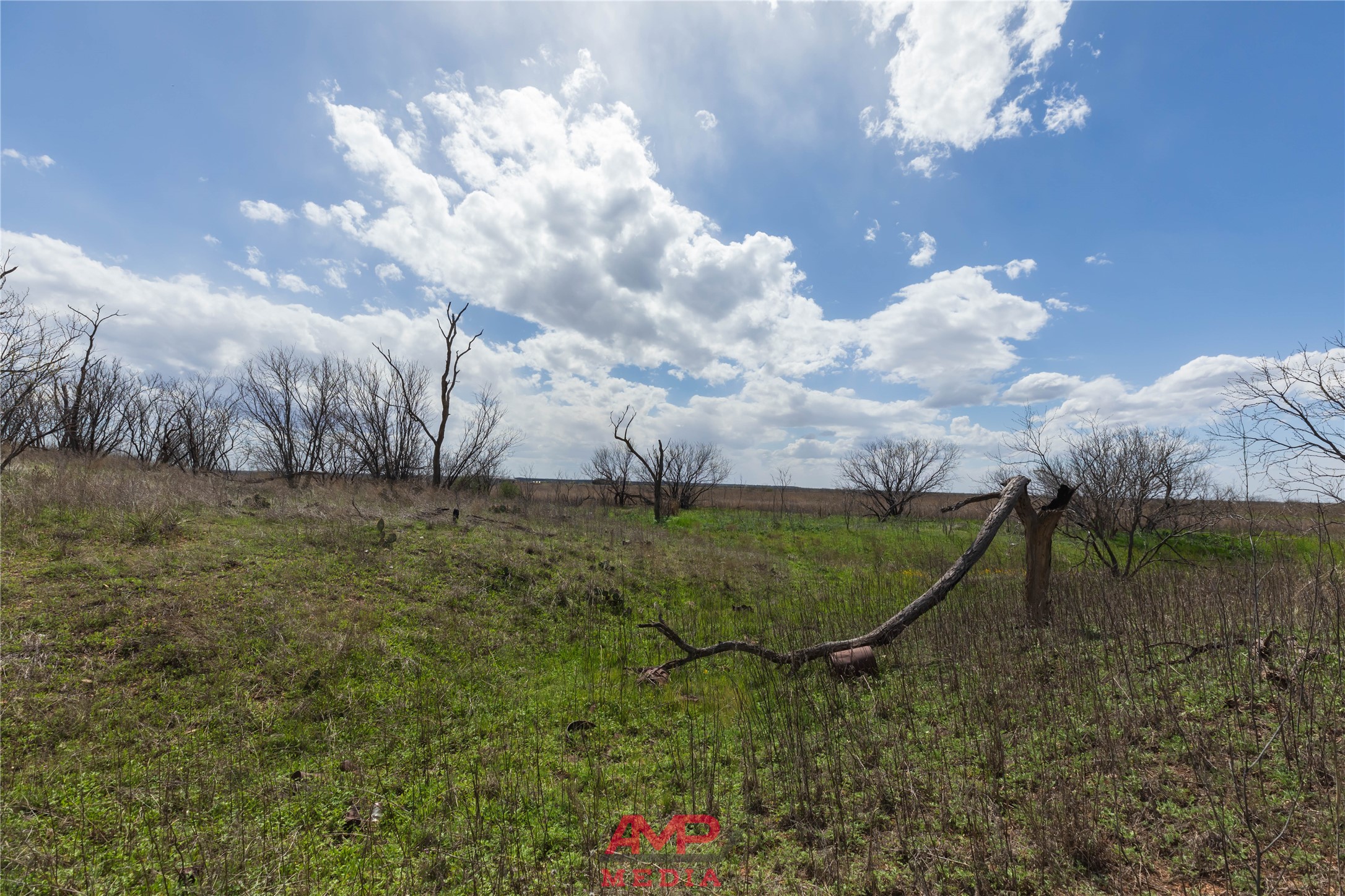 Tract 3 Cr 463 Anson TX 79501
