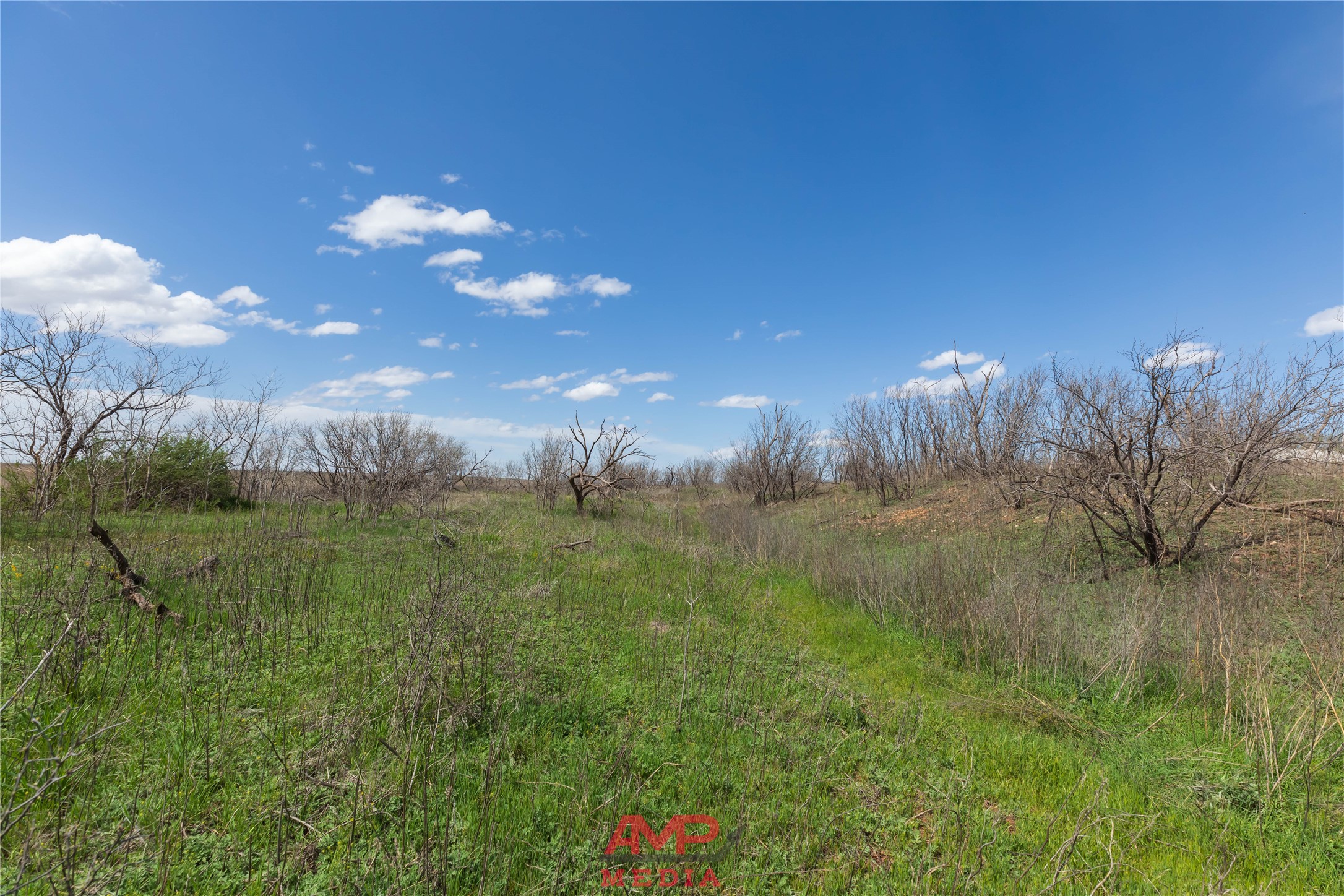Tract 3 Cr 463 Anson TX 79501