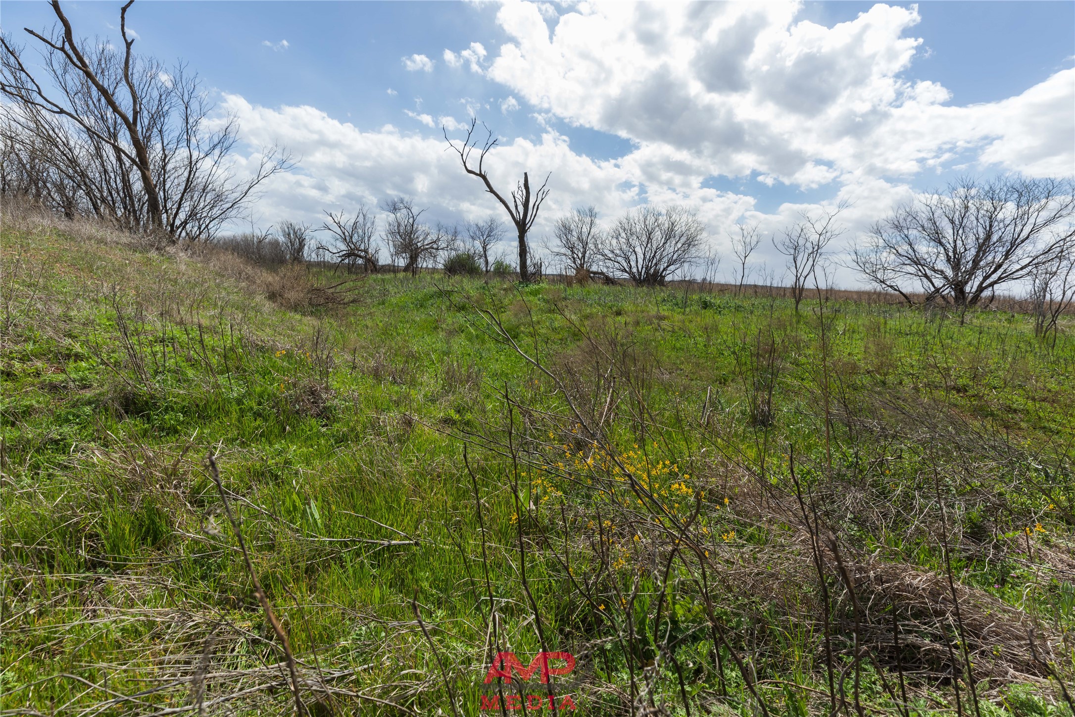 Tract 3 Cr 463 Anson TX 79501