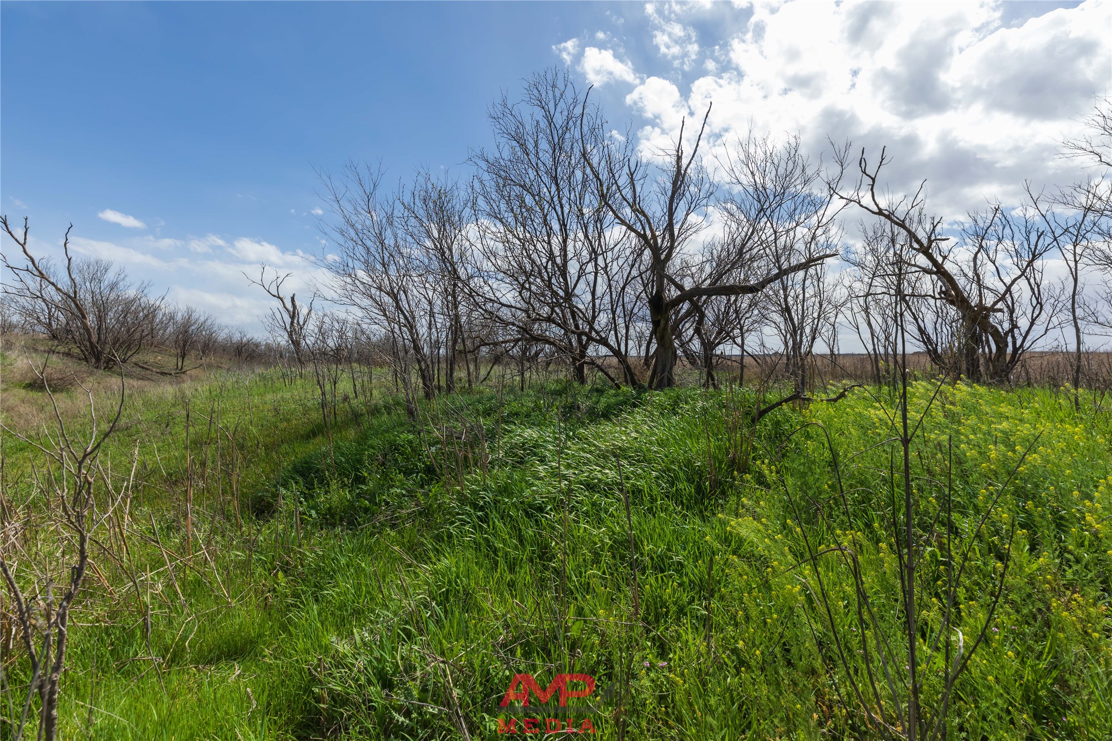 Tract 3 Cr 463 Anson TX 79501