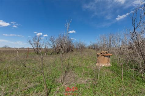 tract 3 Cr 463 Anson TX 79501