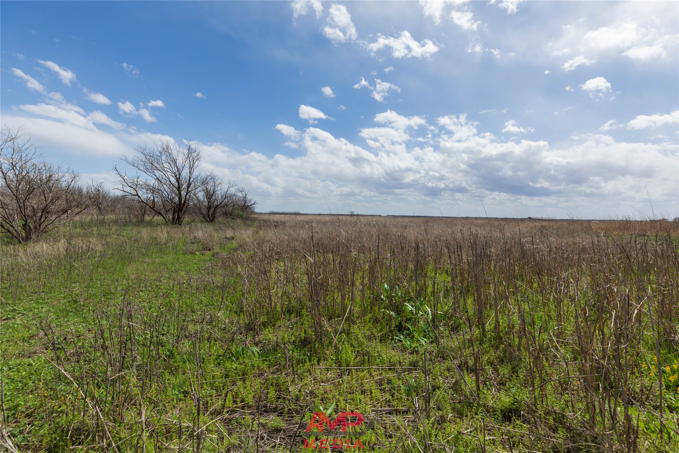 Tract 3 Cr 463 Anson TX 79501
