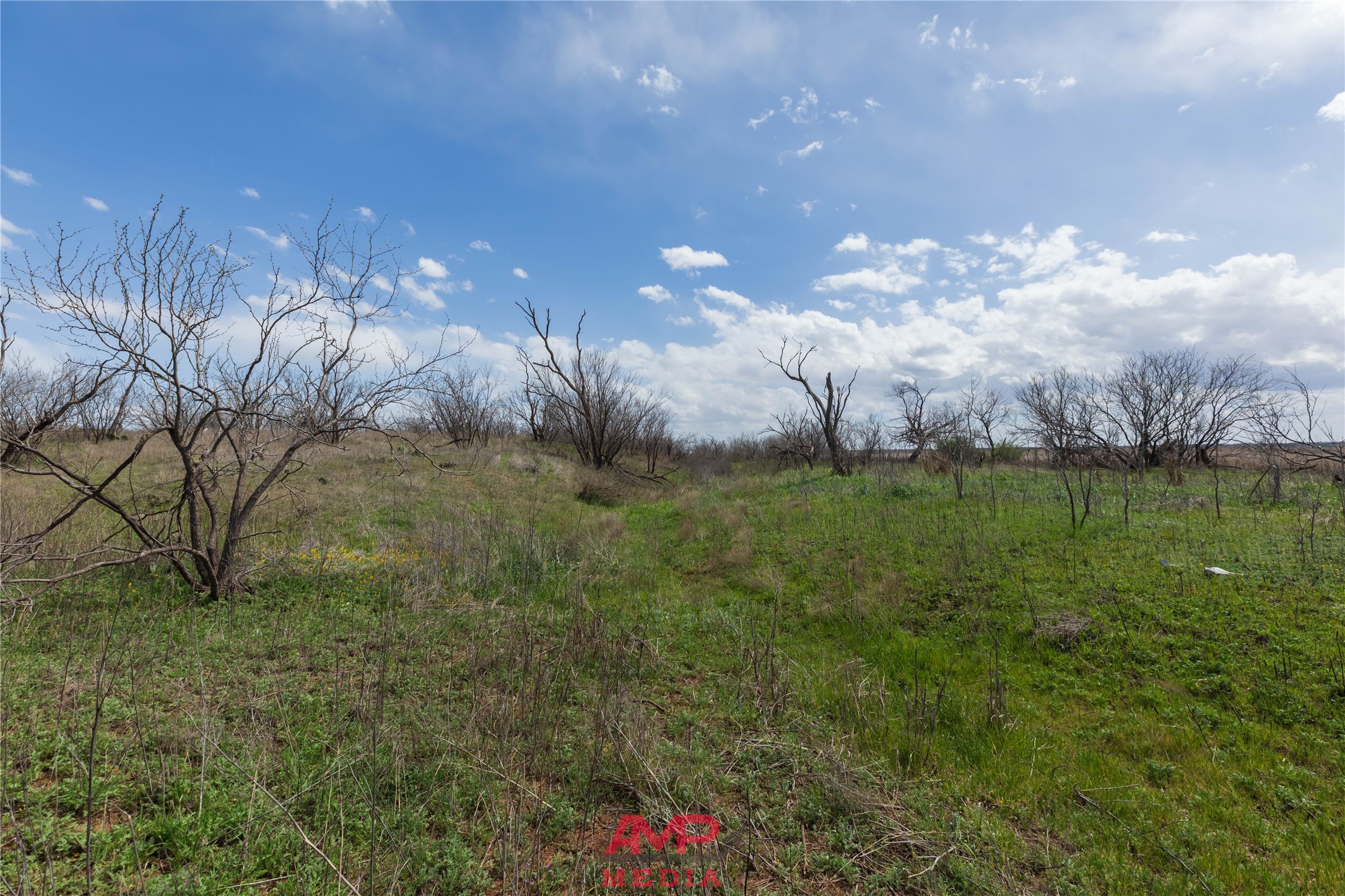 Tract 3 Cr 463 Anson TX 79501