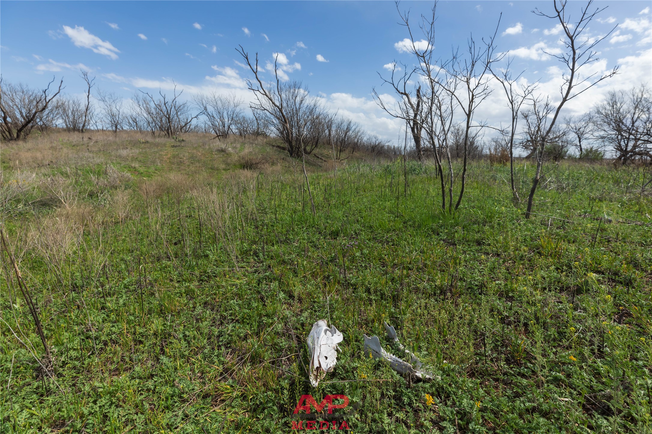 Tract 3 Cr 463 Anson TX 79501