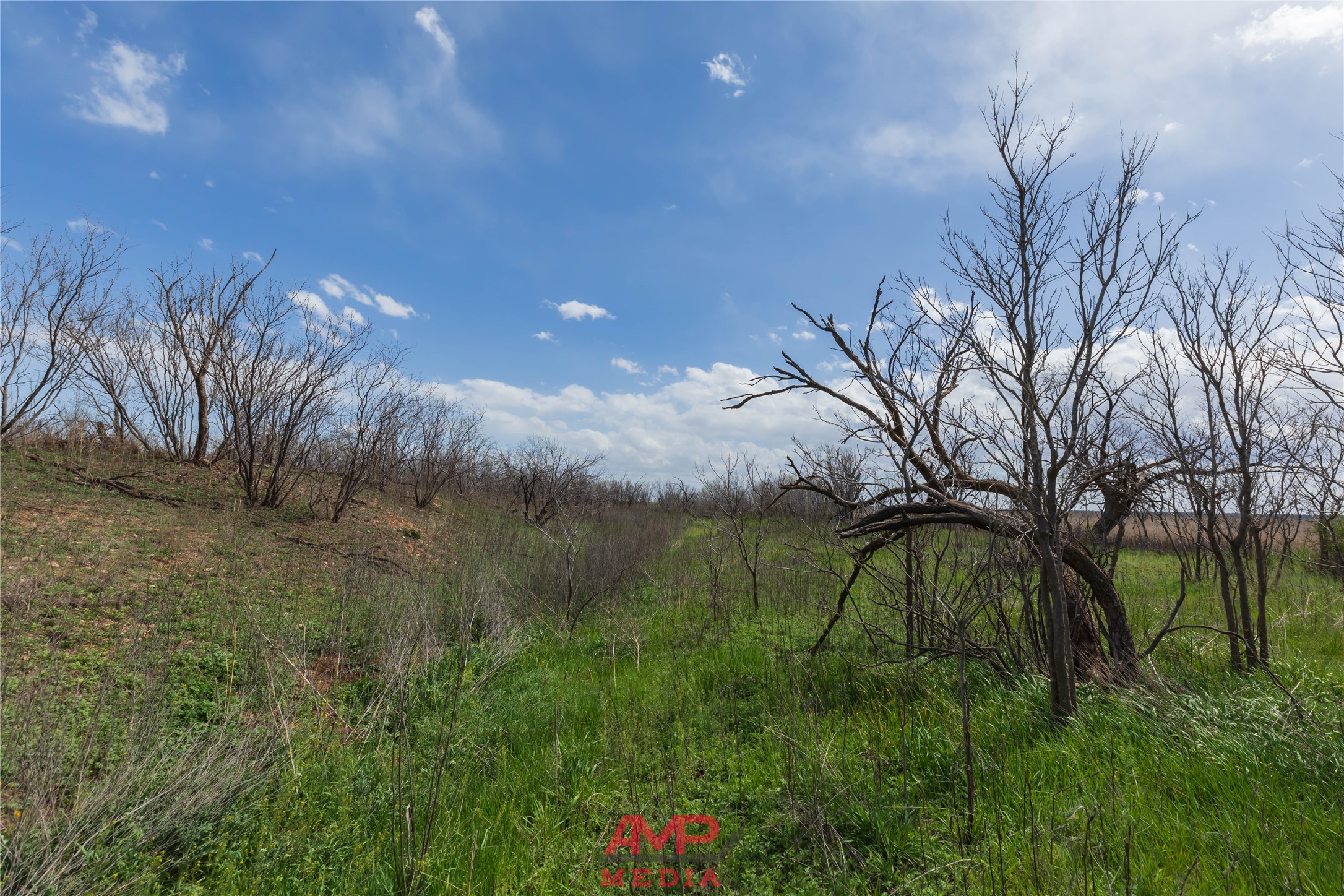 Tract 3 Cr 463 Anson TX 79501