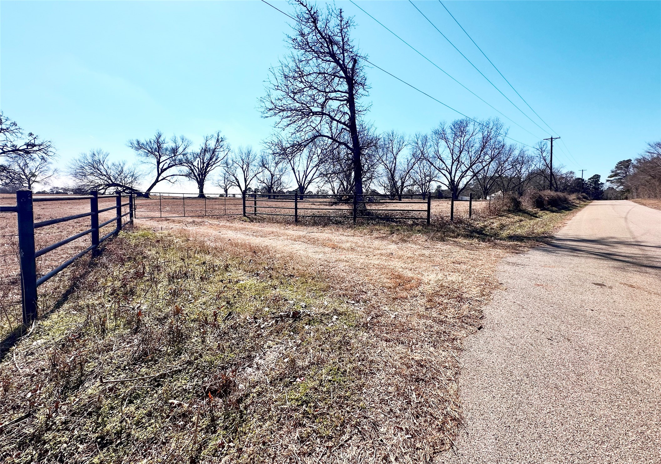 0 Highway 155 & Cr 435 Frankston TX 75763