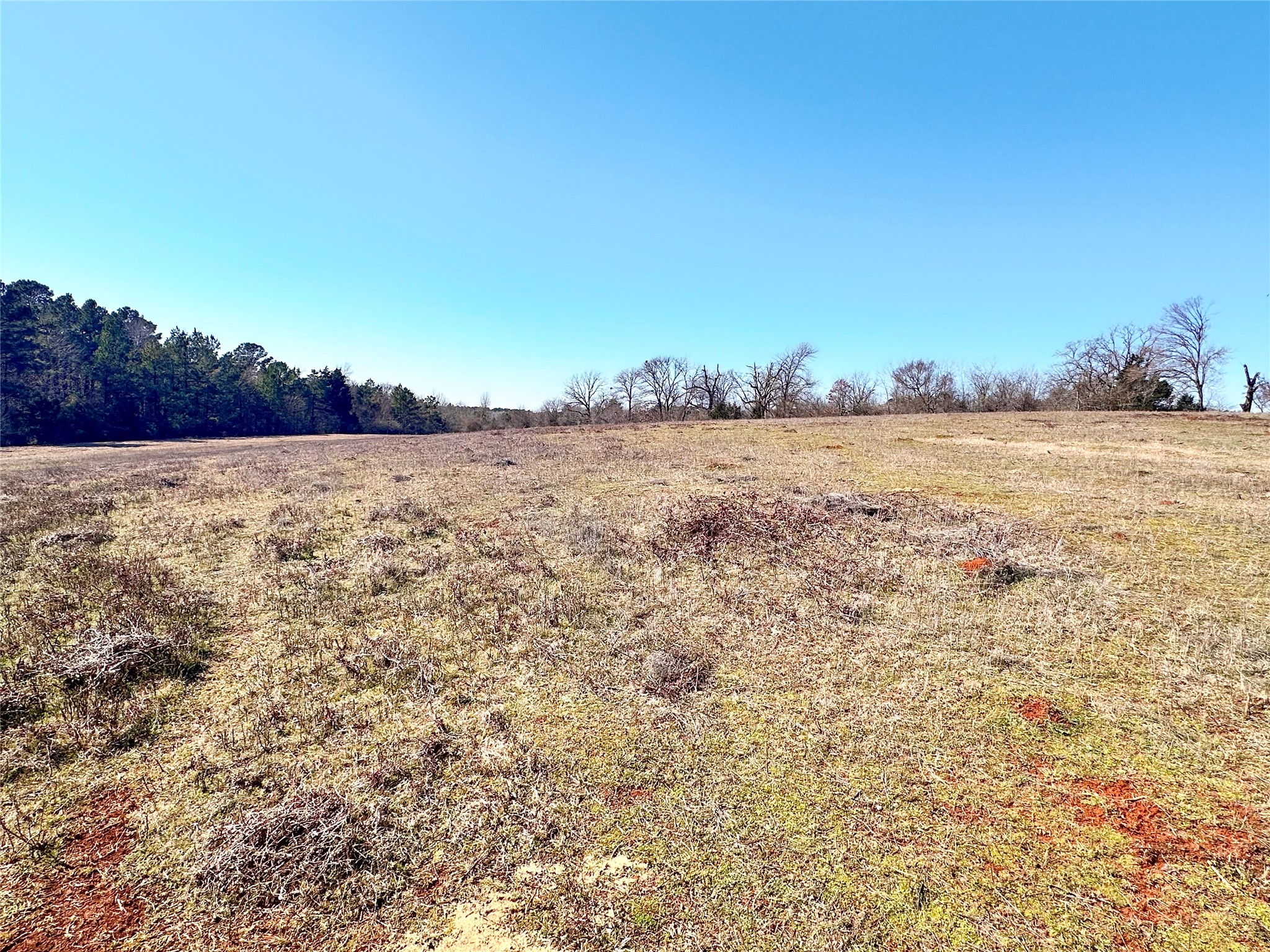 0 Highway 155 & Cr 435 Frankston TX 75763