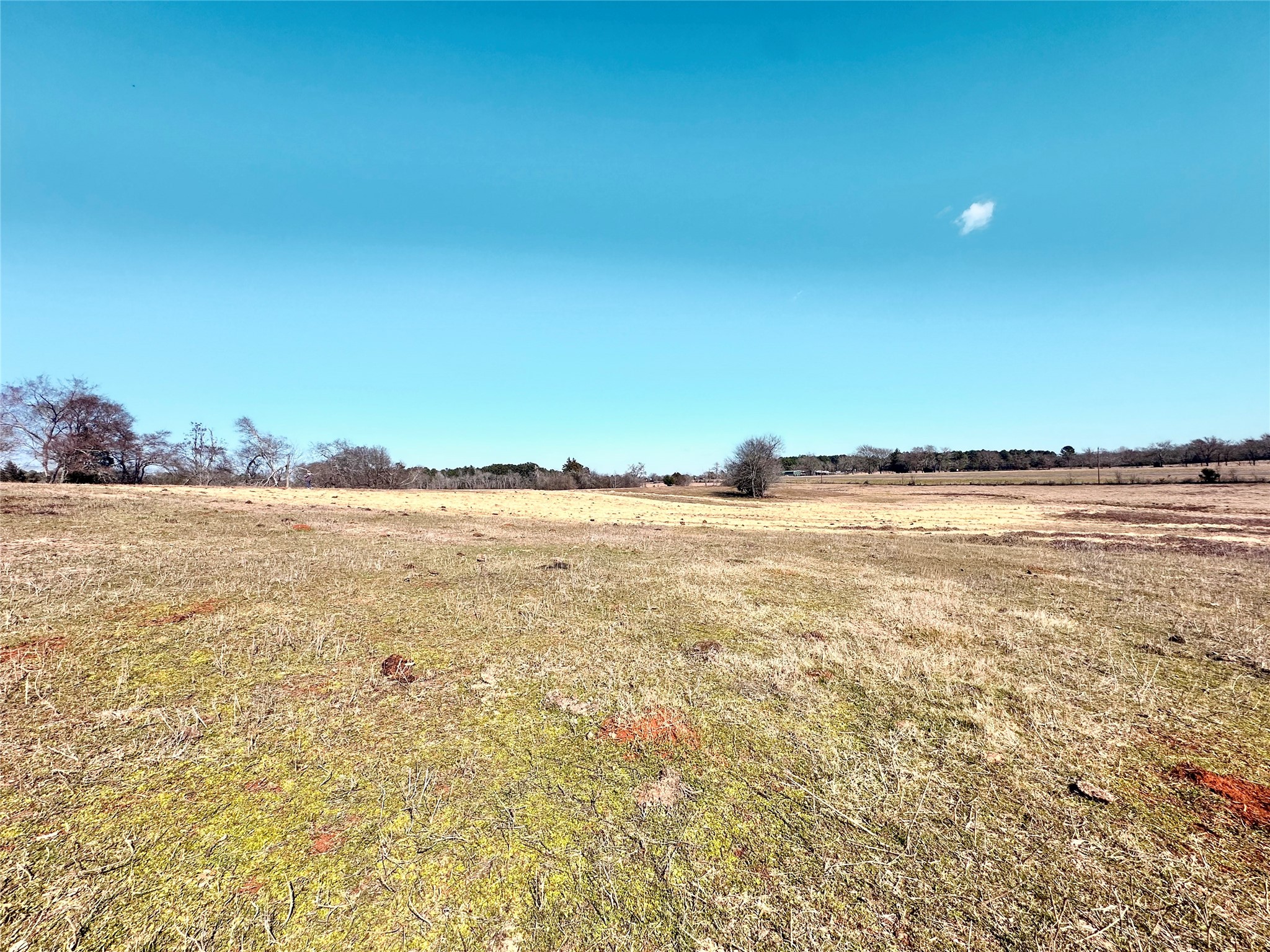 0 Highway 155 & Cr 435 Frankston TX 75763