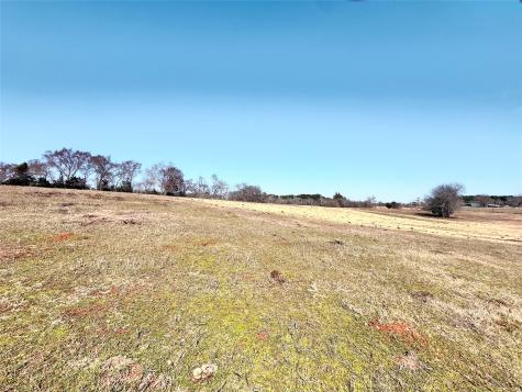 0 Highway 155 & Cr 435 Frankston TX 75763