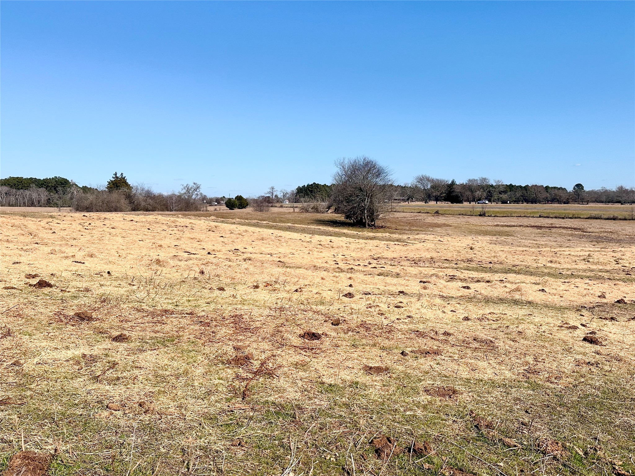 0 Highway 155 & Cr 435 Frankston TX 75763