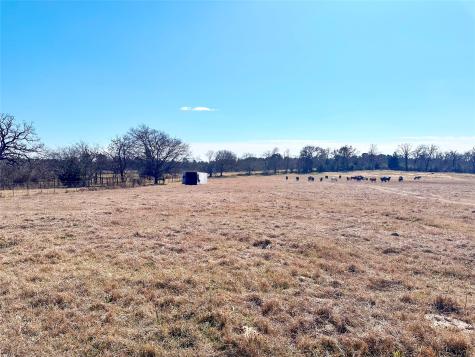 0 Highway 155 & Cr 435 Frankston TX 75763