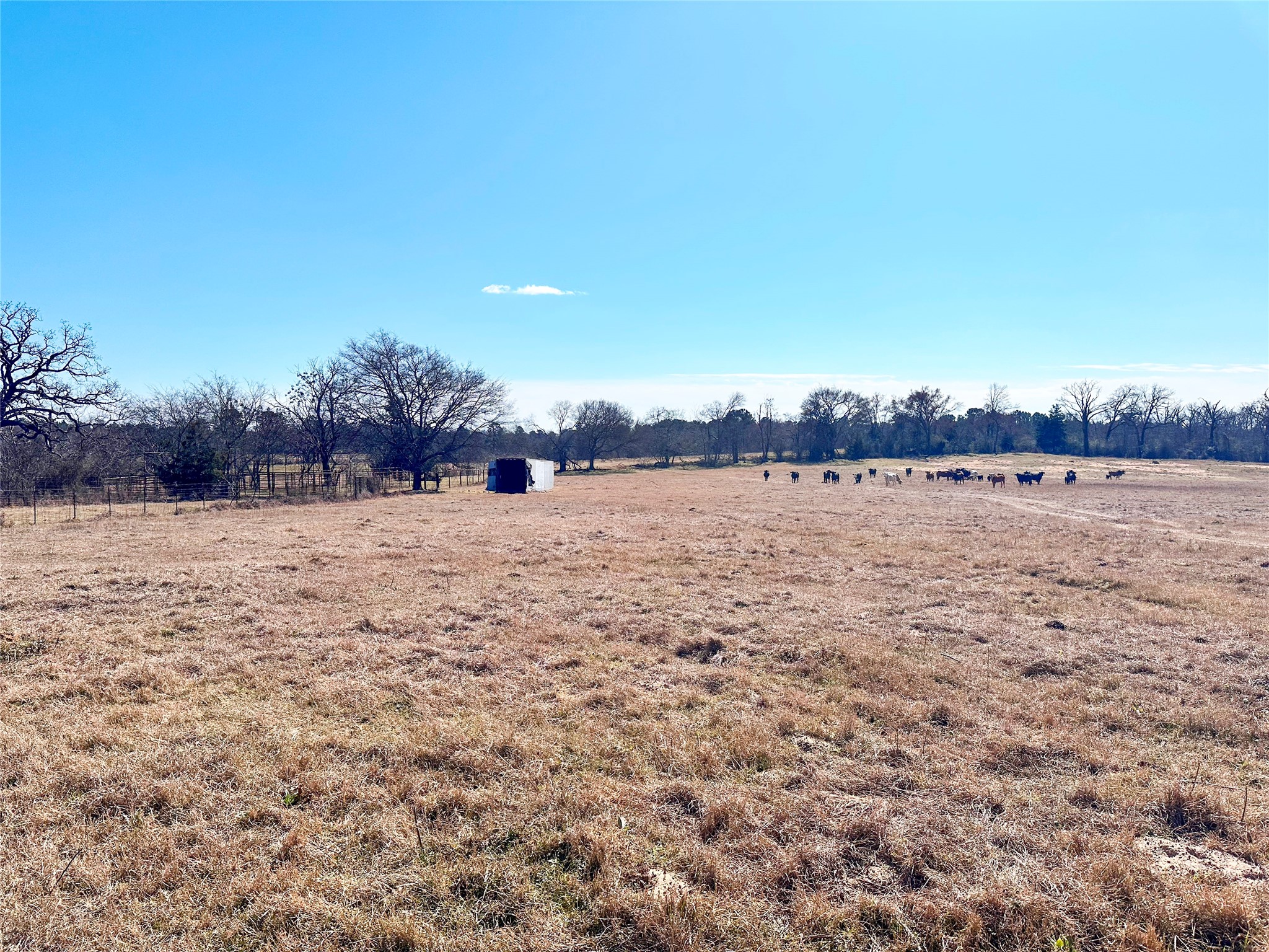 0 Highway 155 & Cr 435 Frankston TX 75763
