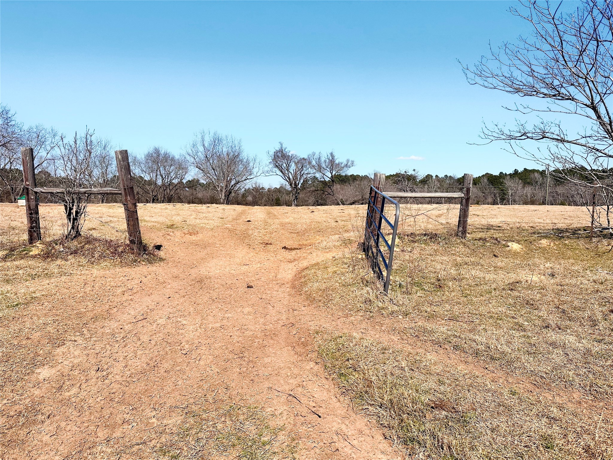 0 Highway 155 & Cr 435 Frankston TX 75763
