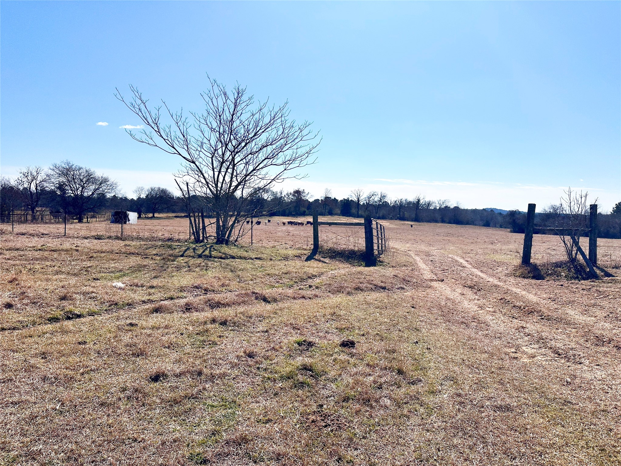 0 Highway 155 & Cr 435 Frankston TX 75763