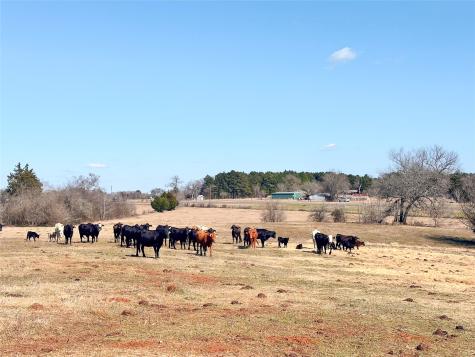 0 Highway 155 & Cr 435 Frankston TX 75763