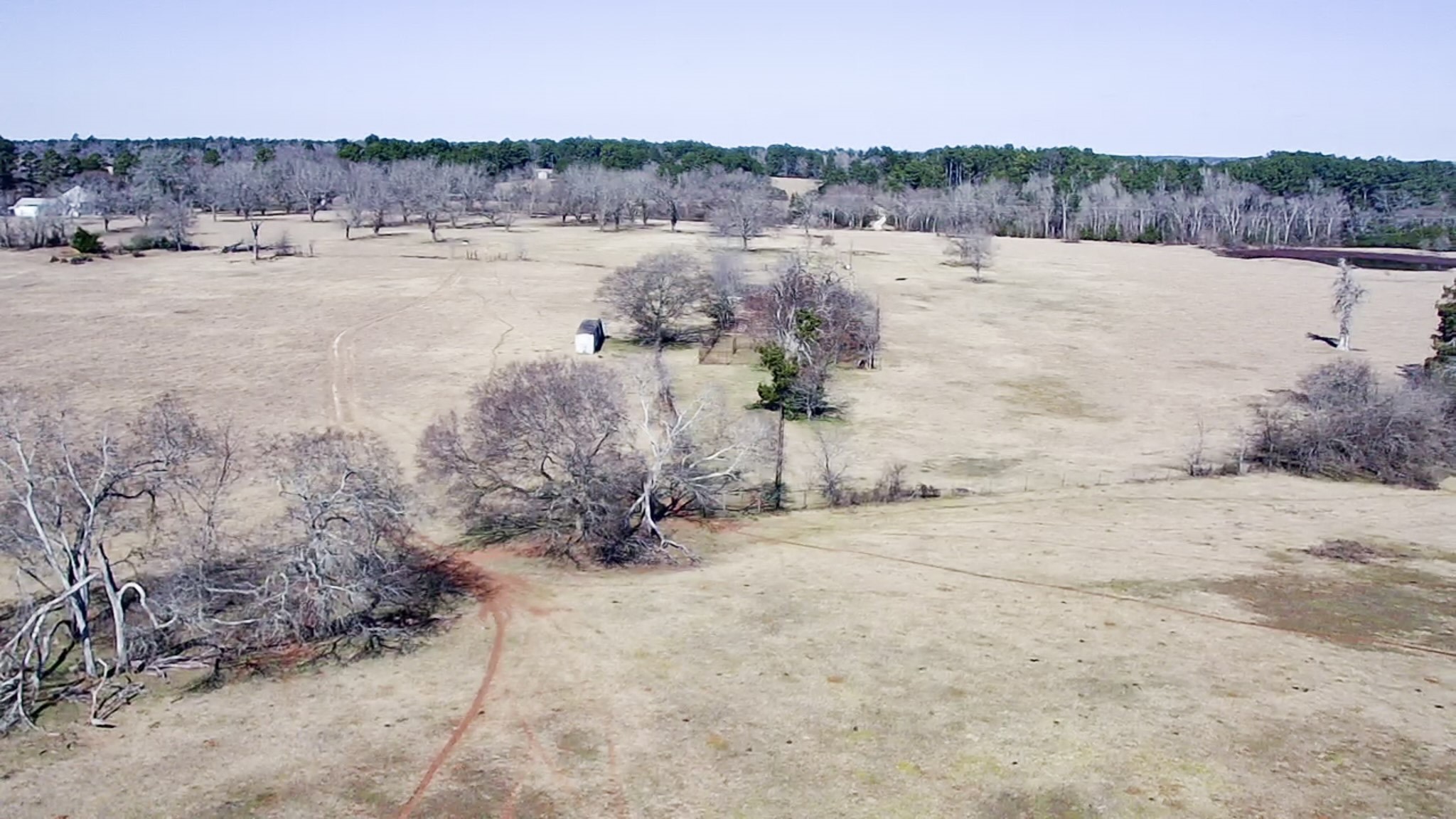 0 Highway 155 & Cr 435 Frankston TX 75763