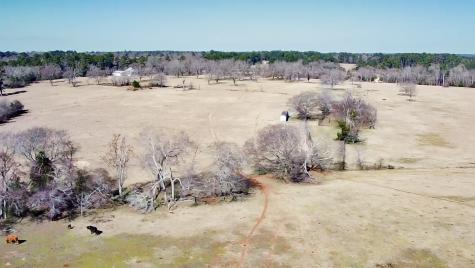 0 Highway 155 & Cr 435 Frankston TX 75763