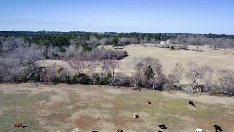 0 Highway 155 & Cr 435 Frankston TX 75763