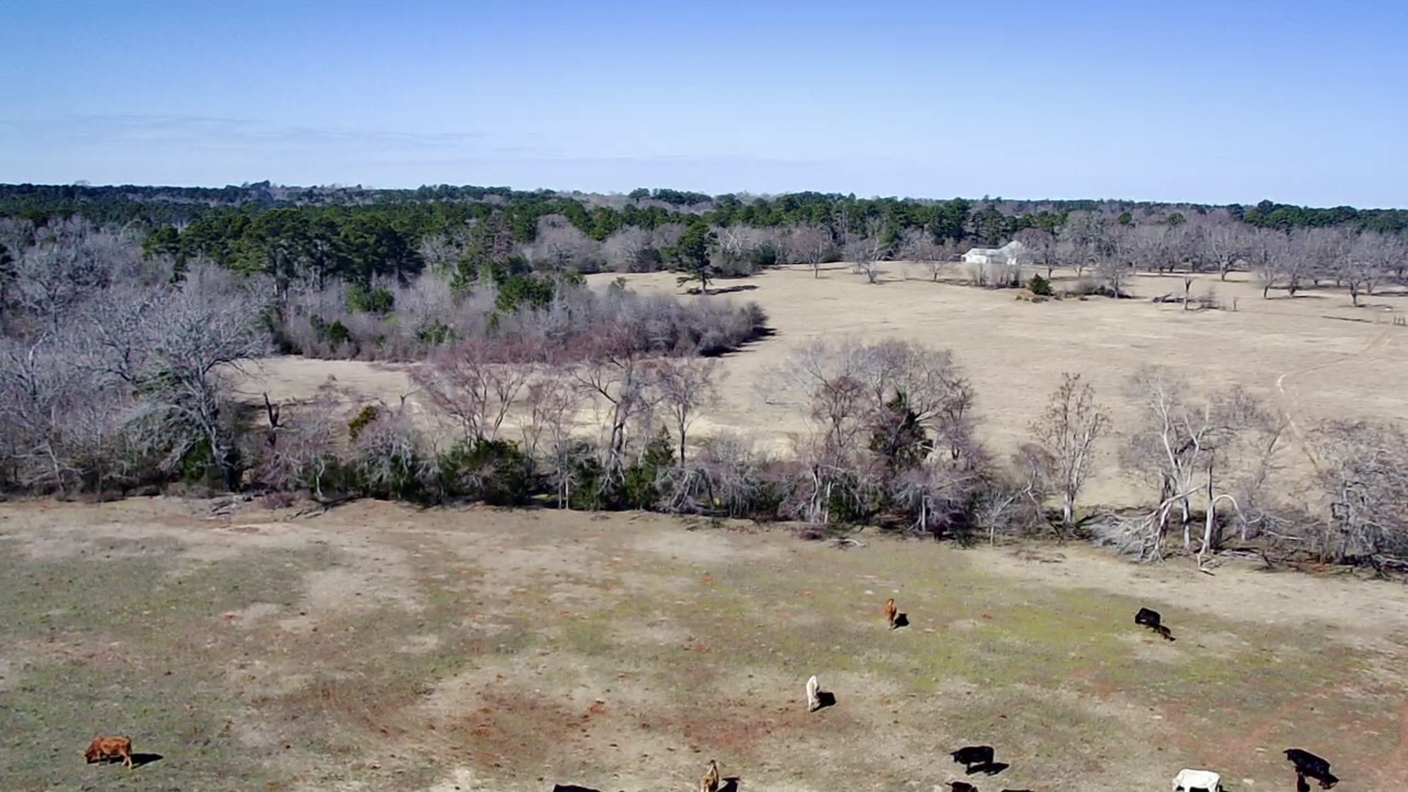0 Highway 155 & Cr 435 Frankston TX 75763