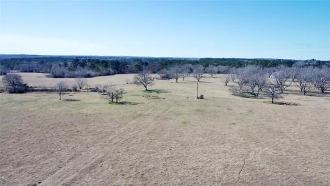 0 Highway 155 & Cr 435 Frankston TX 75763