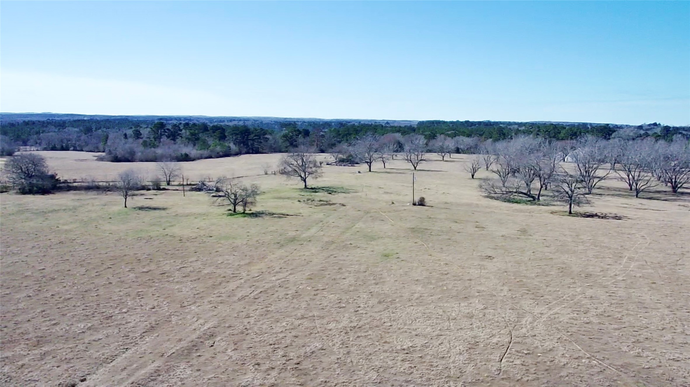 0 Highway 155 & Cr 435 Frankston TX 75763