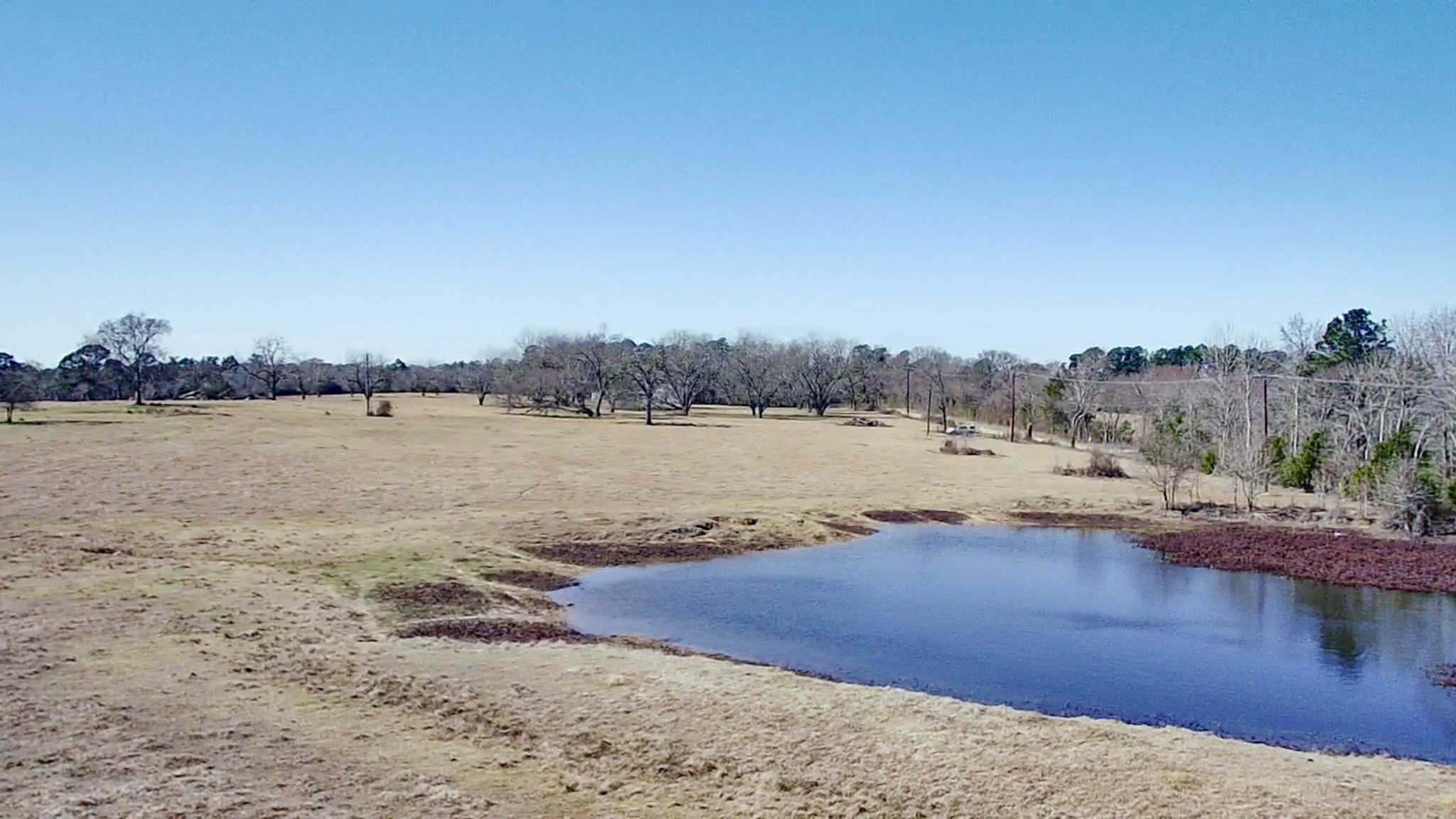0 Highway 155 & Cr 435 Frankston TX 75763