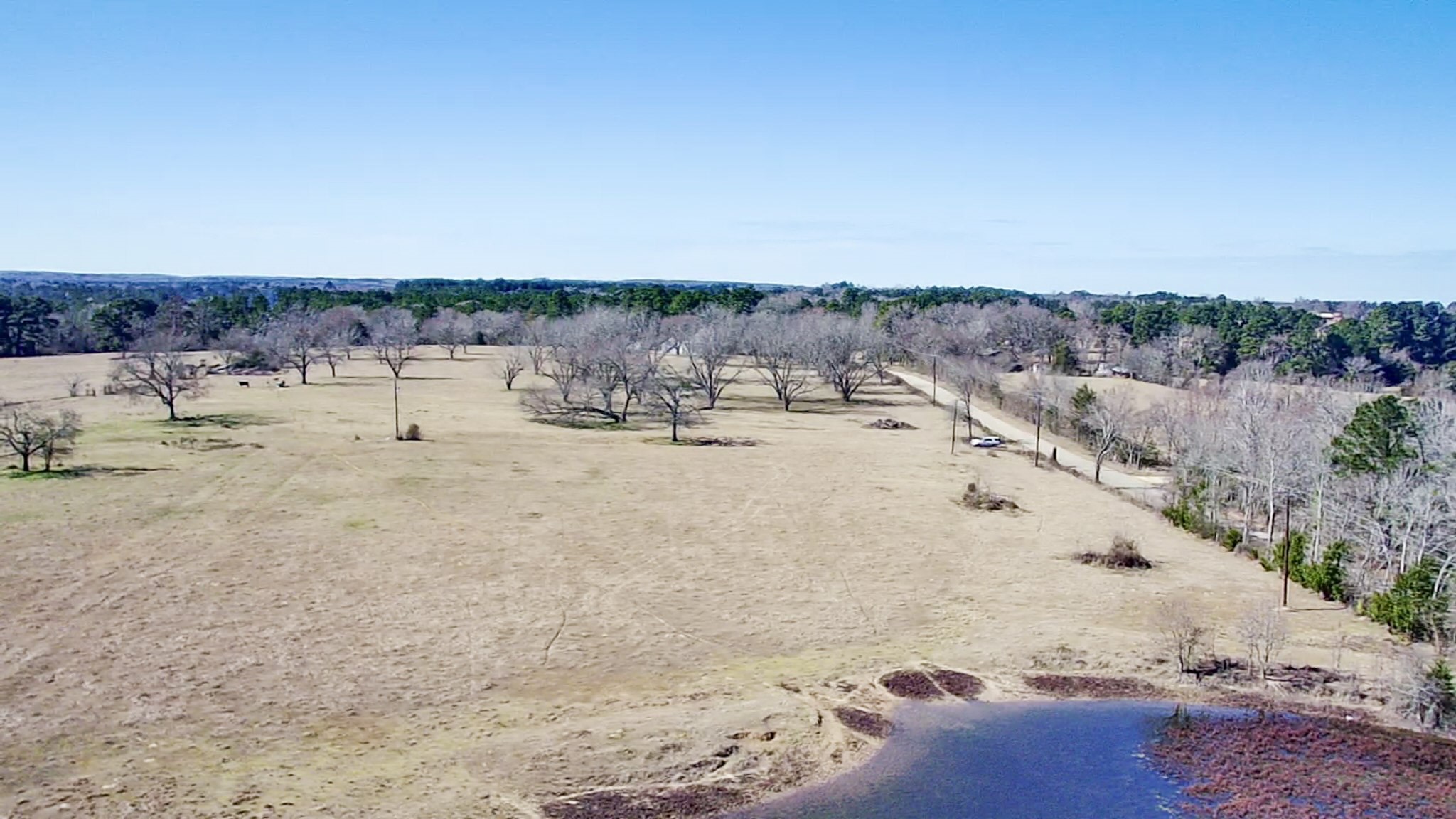 0 Highway 155 & Cr 435 Frankston TX 75763