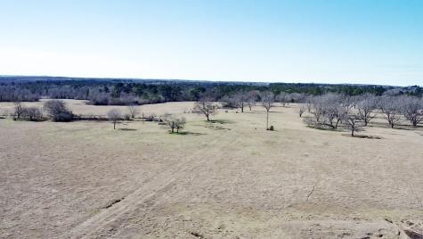 0 Highway 155 & Cr 435 Frankston TX 75763