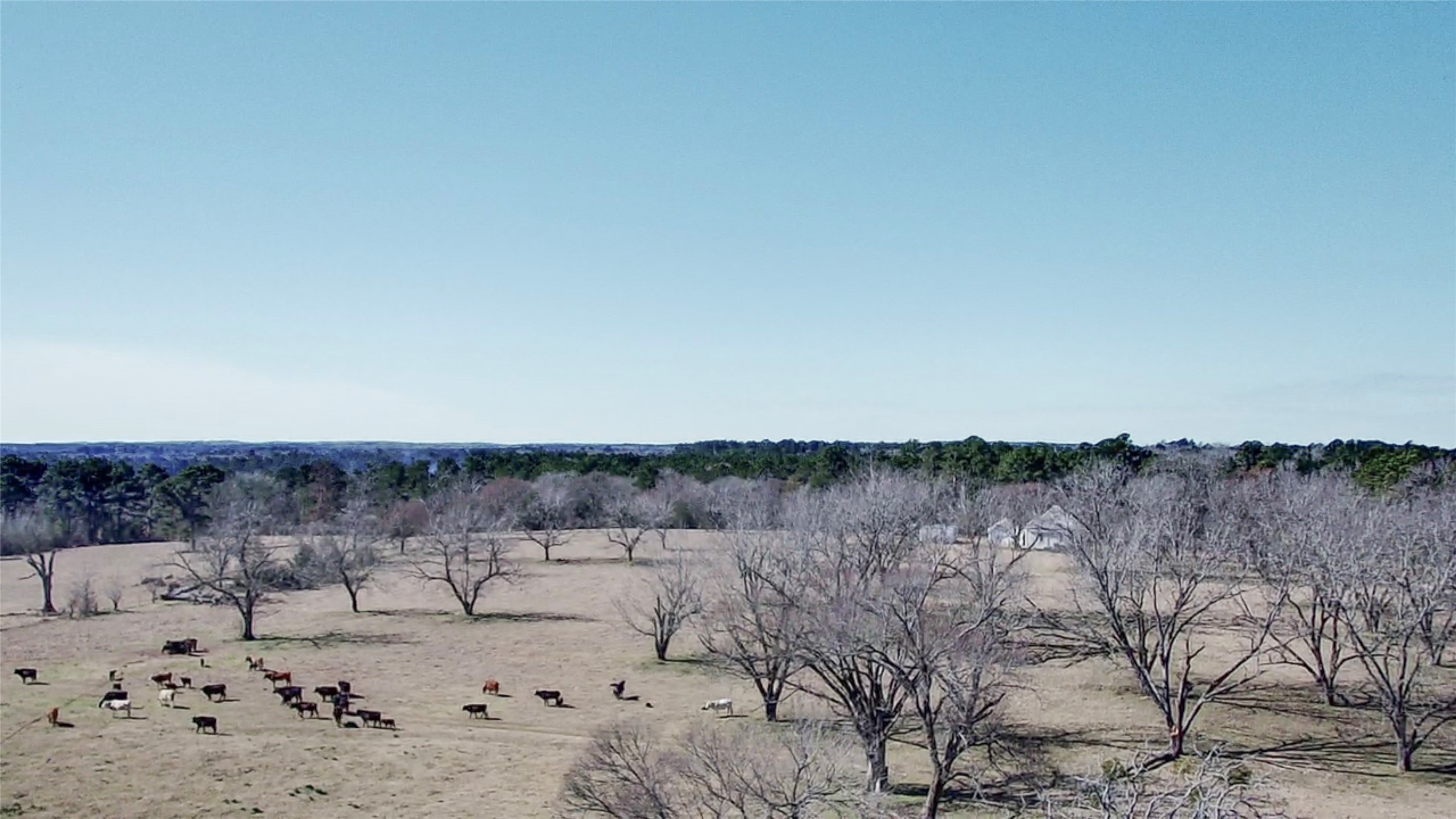 0 Highway 155 & Cr 435 Frankston TX 75763