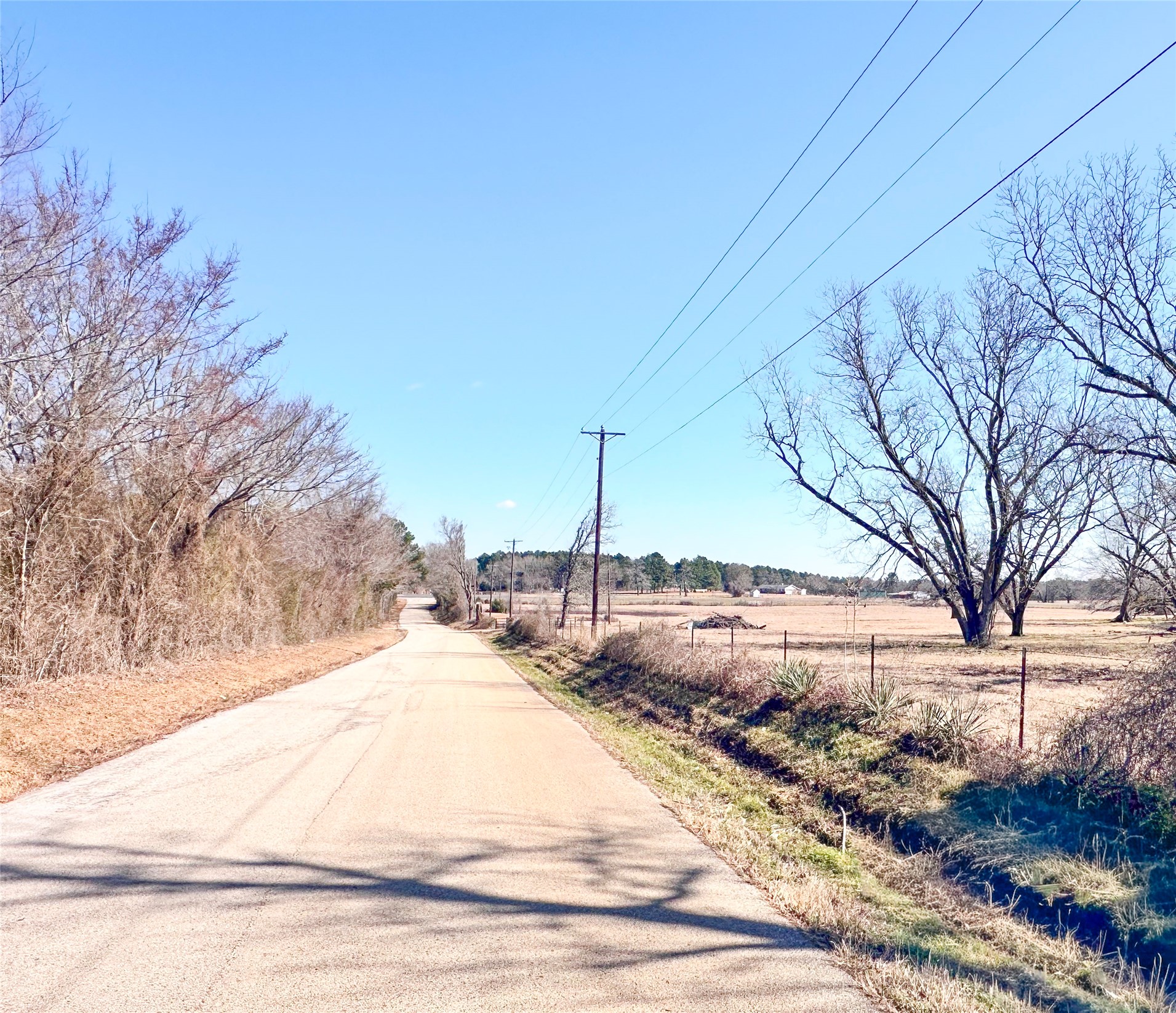 0 Highway 155 & Cr 435 Frankston TX 75763
