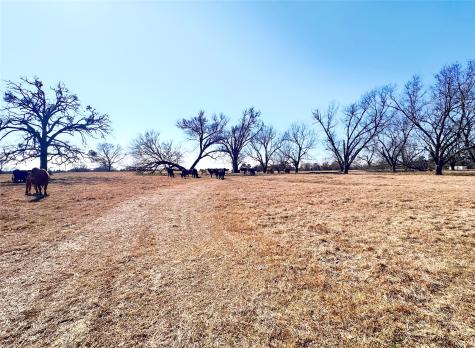 0 Highway 155 & Cr 435 Frankston TX 75763