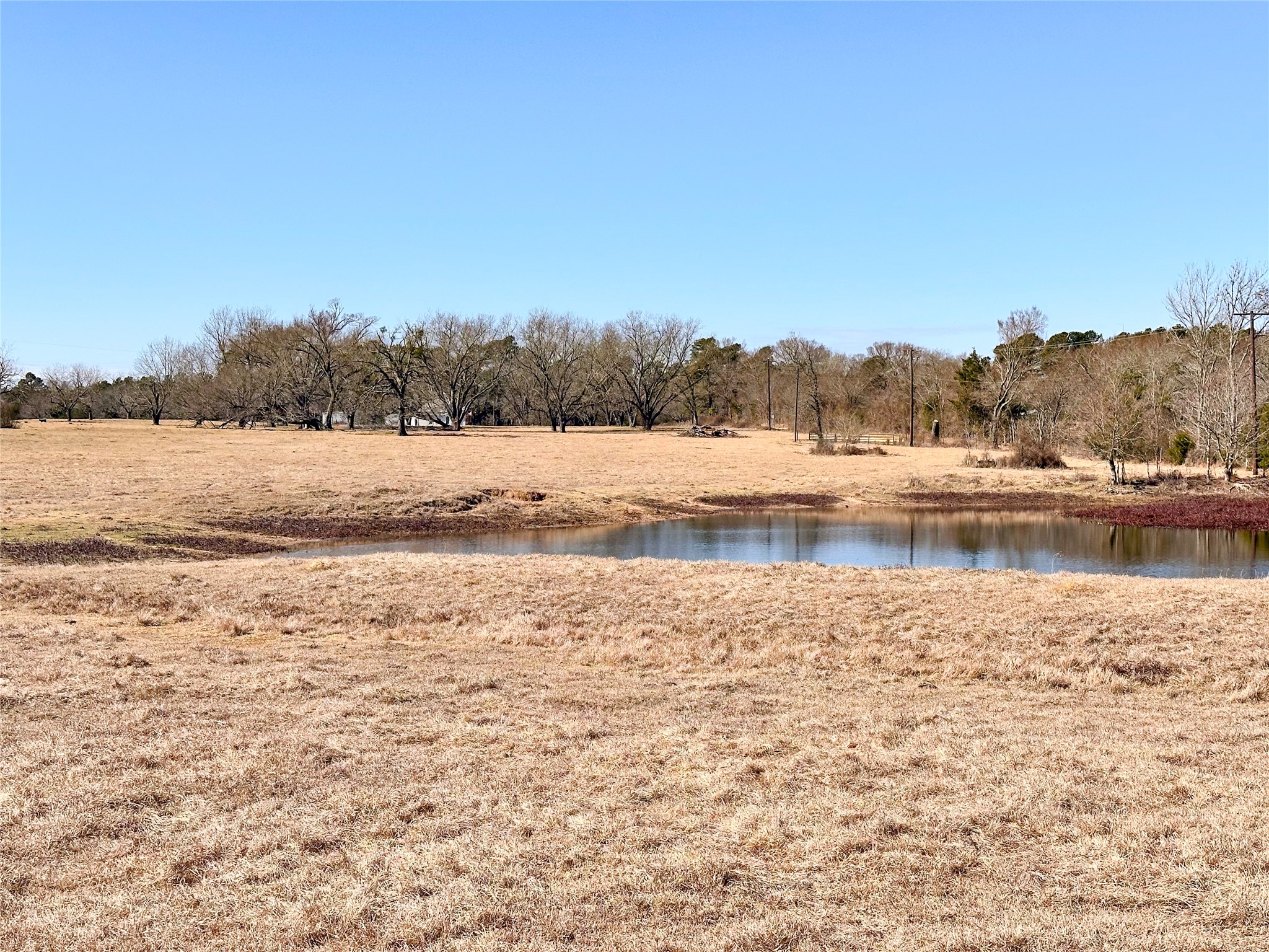 0 Highway 155 & Cr 435 Frankston TX 75763