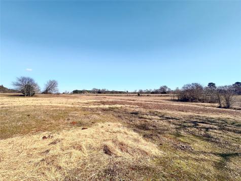 0 Highway 155 & Cr 435 Frankston TX 75763