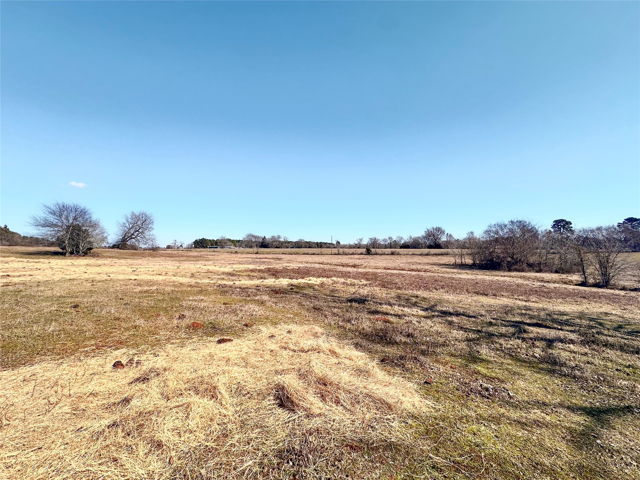 0 Highway 155 & Cr 435 Frankston TX 75763