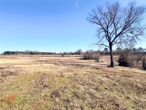 0 Highway 155 & Cr 435 Frankston TX 75763