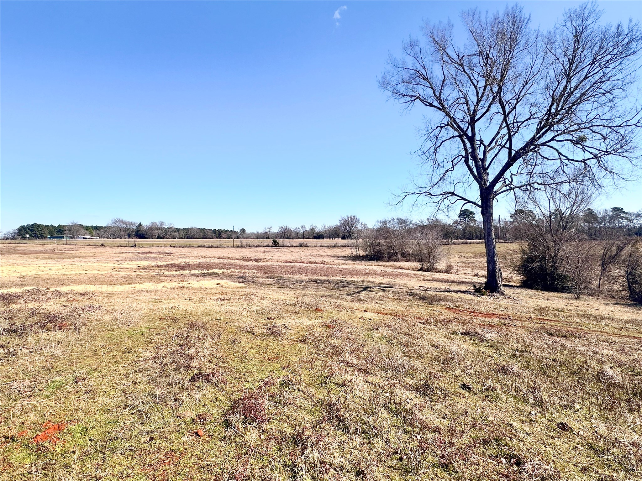 0 Highway 155 & Cr 435 Frankston TX 75763