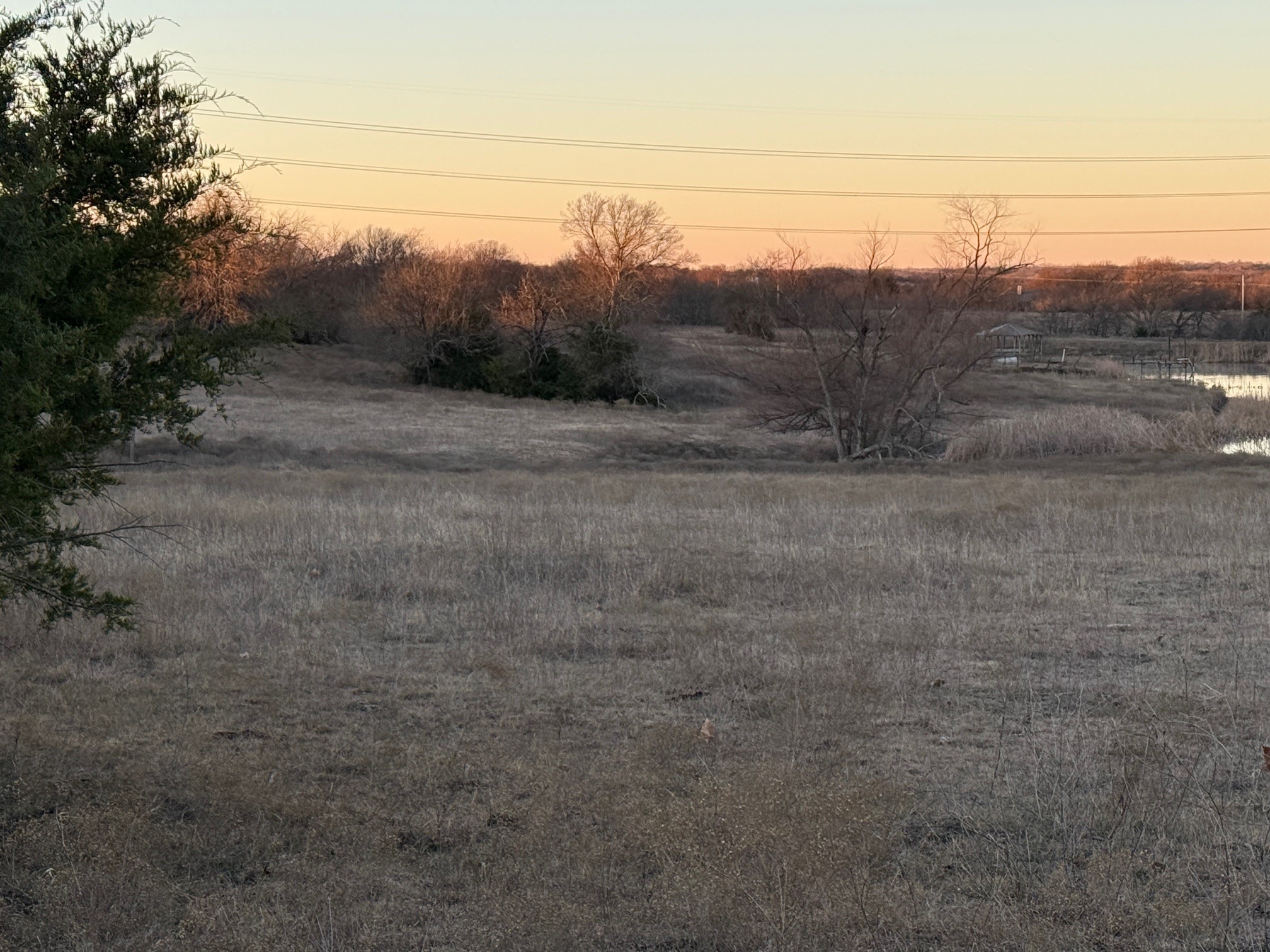 7933 State Highway 78 N Blue Ridge TX 75424