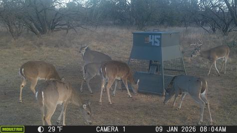 Tbd County Road 291 Breckenridge TX 76464