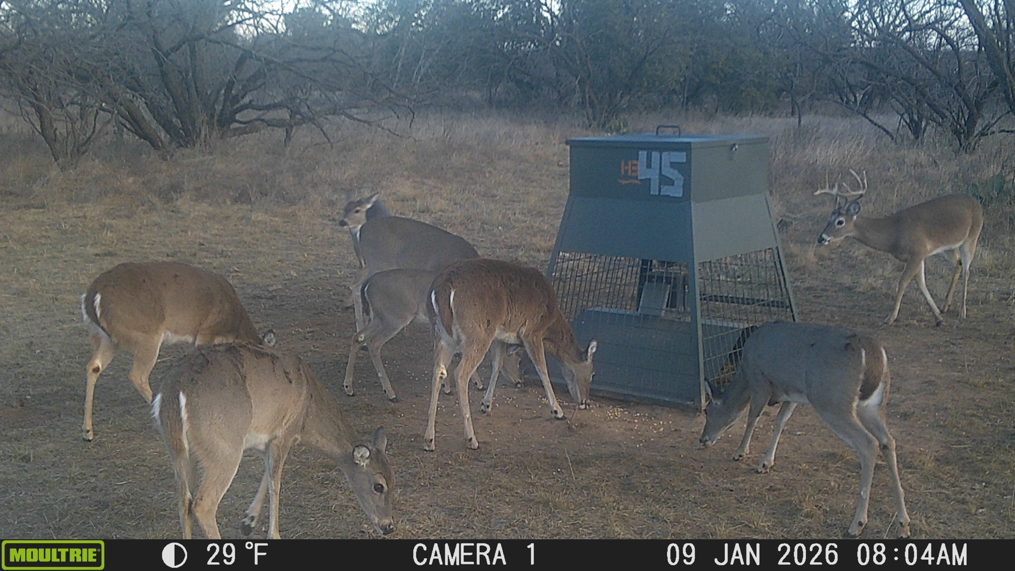 Tbd County Road 291 Breckenridge TX 76464