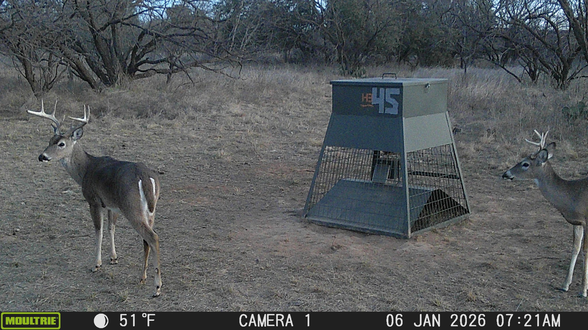 Tbd County Road 291 Breckenridge TX 76464