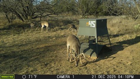 Tbd County Road 291 Breckenridge TX 76464